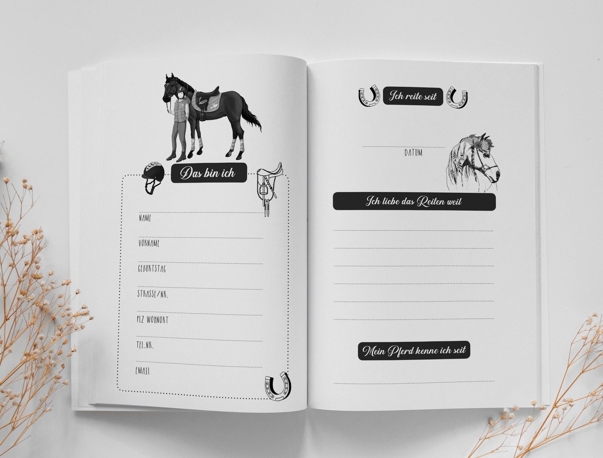 Mein Reitstunden Tagebuch (Digital) - Monsoon Publishing